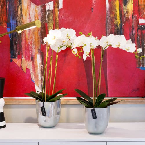 fiori