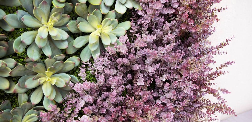¿Por qué elegir nuestros jardines verticales artificiales?
