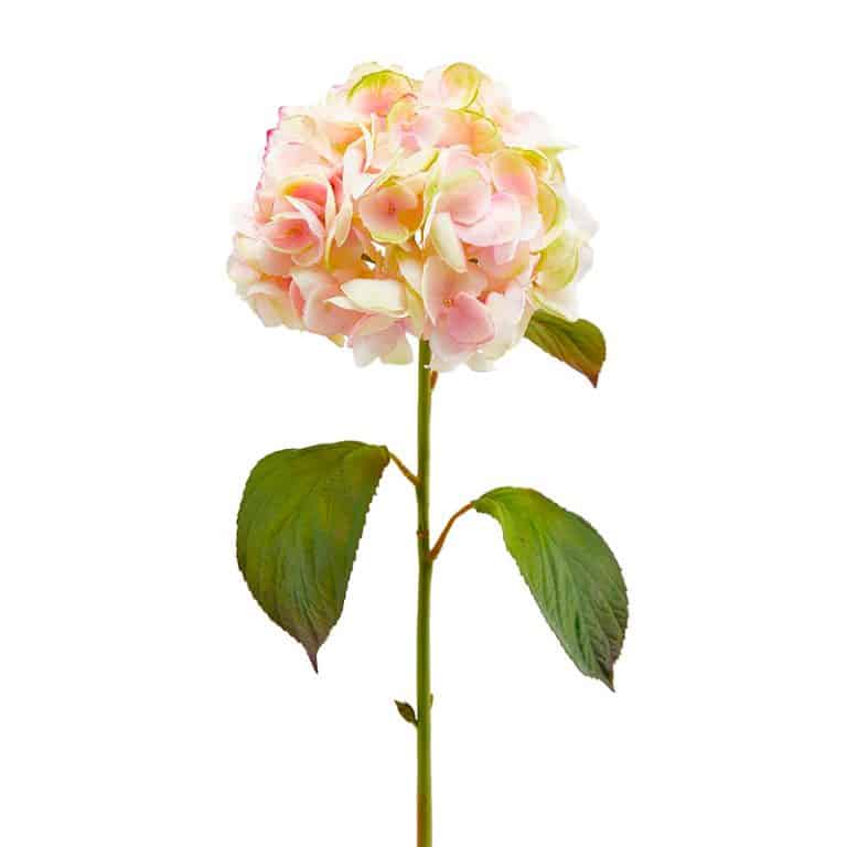 fiori artificiali