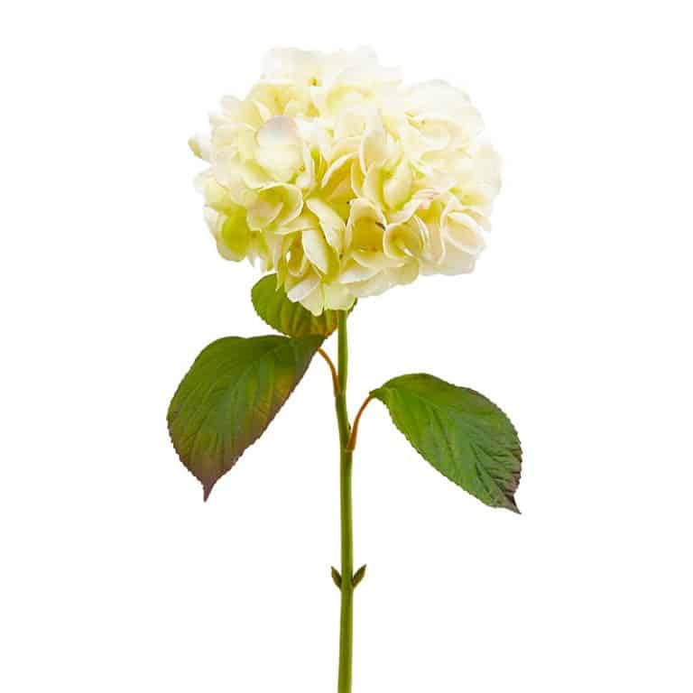fiori artificiali