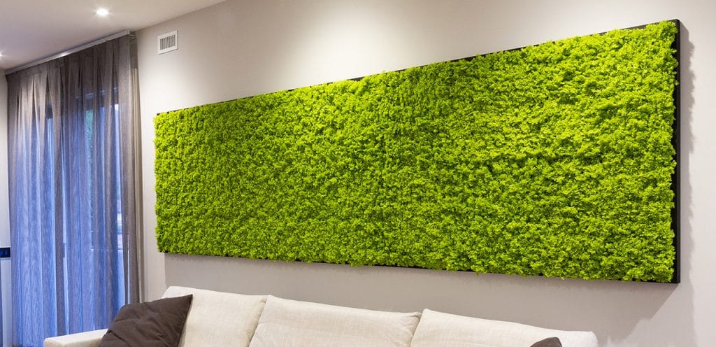 Liquen artificial: un nuevo producto para crear áreas verdes sin mantenimiento