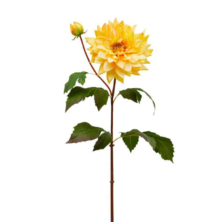 fiori artificiali
