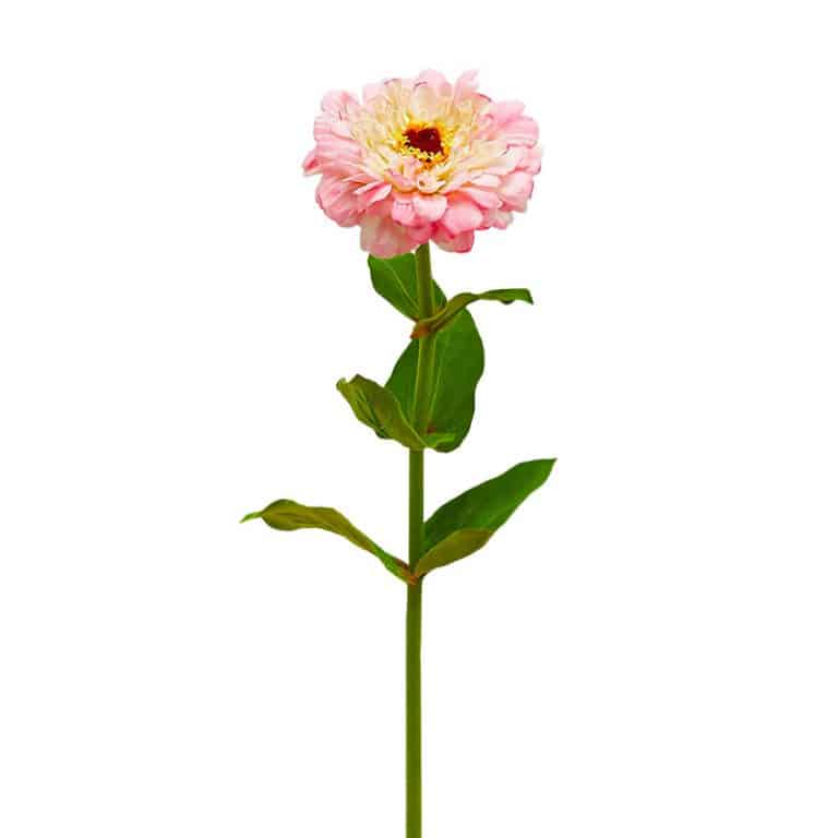fiori artificiali