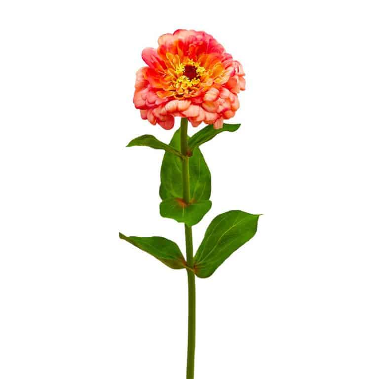 fiori artificiali