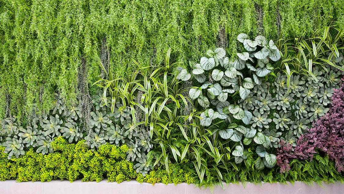 Giardini verticali