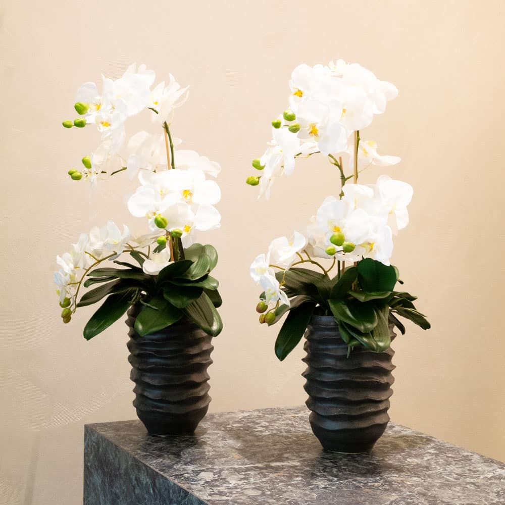 Orchidee artificiali Carlo Civera