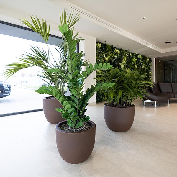 Pianta artificiale Zamifolia da interno in vasi di design