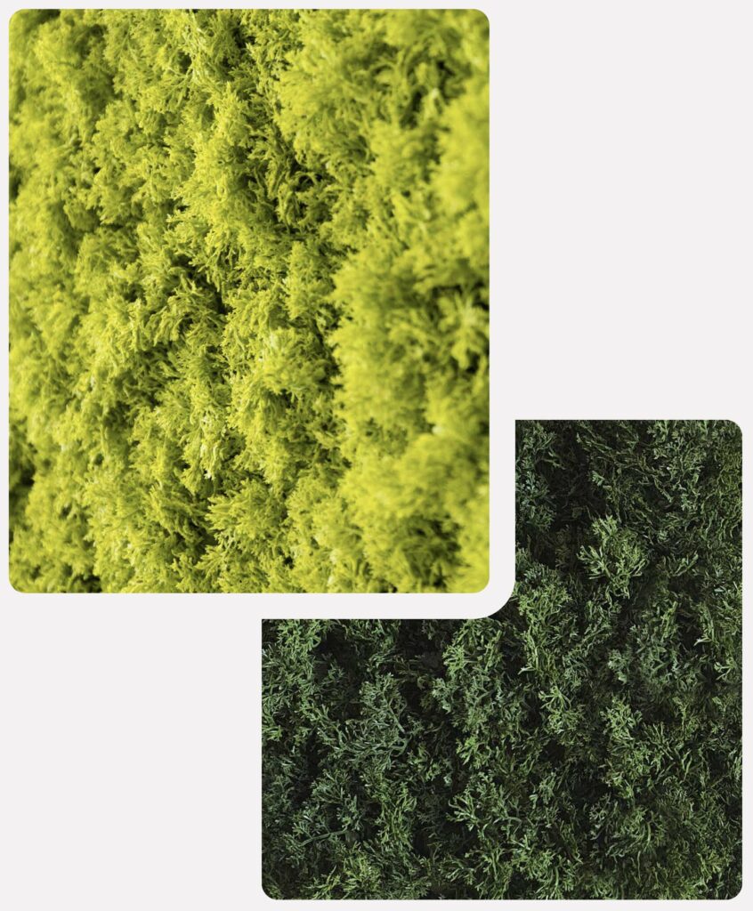 Couleur de lichen artificiel