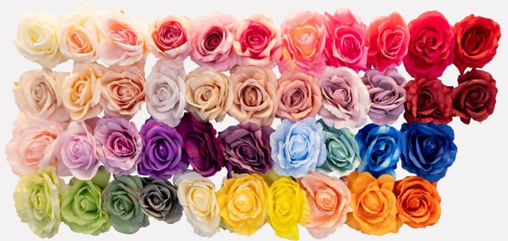 2024 rose flower wall colors