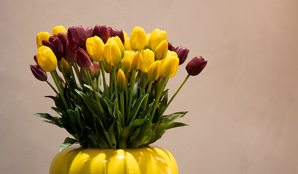Fiori e composizioni floreali personalizzate Carlo Civera