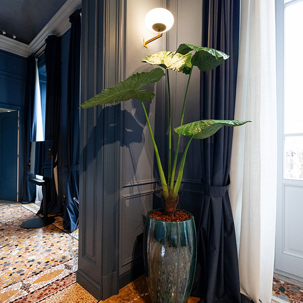 Pianta artificiale decorativa in soggiorno moderno