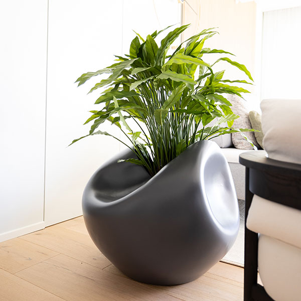 Pianta artificiale Calathea da interno in vasi di design