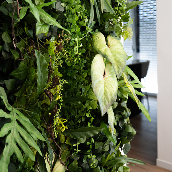 Dettaglio giardino verticale indoor e outdoor