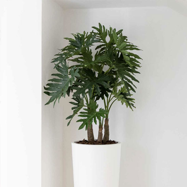Pianta artificiale Philodendro da interno in vasi di design