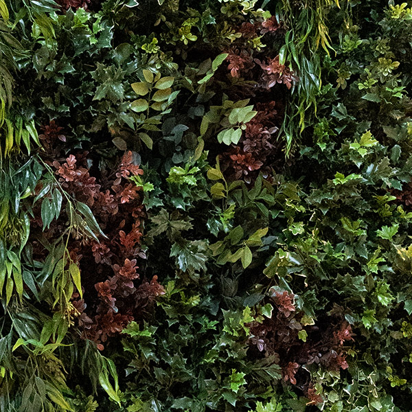 dettaglio giardini verticali resistenti agli agenti atmosferici